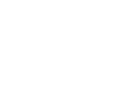 VISA Card